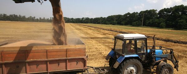 Уборка озимой пшеницы - Sputnik Узбекистан