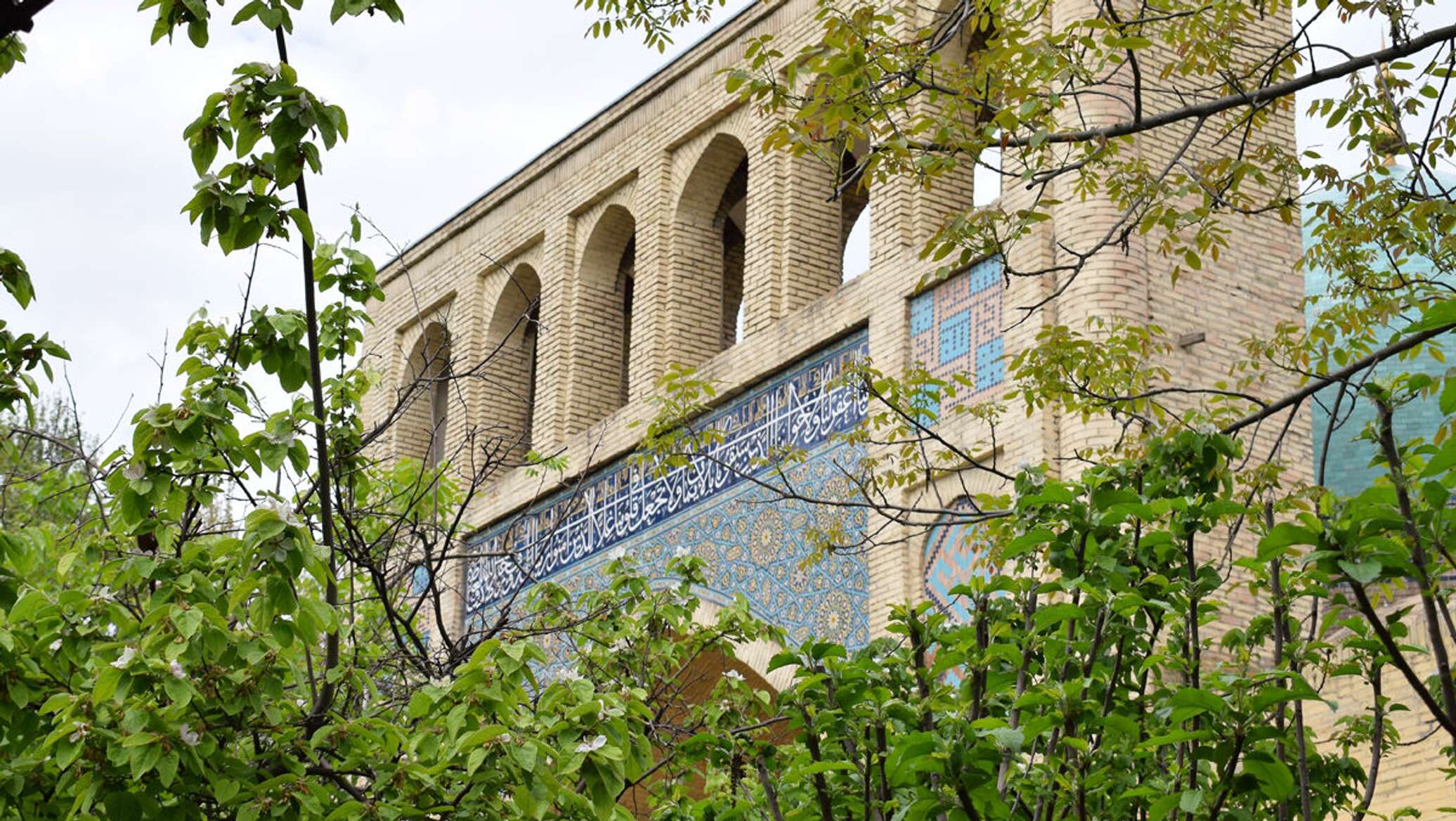 Qizlar yaqindan suratga tushmoqda