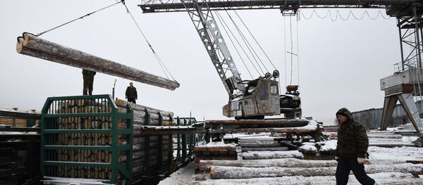 Погрузка круглого леса в вагоны на частном лесоперерабатывающем предприятии Погрузка круглого леса в вагоны на частном лесоперерабатывающем предприятии - Sputnik Ўзбекистон