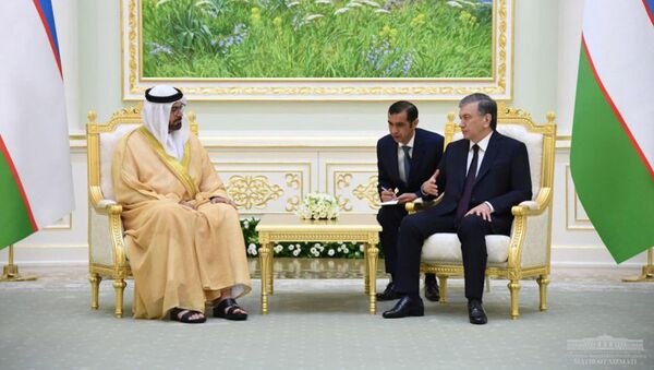 Президент Узбекистана принял делегацию Объединенных Арабских Эмиратов - Sputnik Ўзбекистон