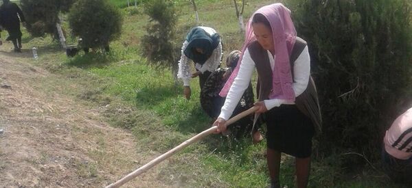 Привлечение учителей и учеников школы номер семь Избасканского района Андижанской области к принудительному труду Привлечение учителей и учеников школы номер семь Избасканского района Андижанской области к принудительному труду - Sputnik Ўзбекистон