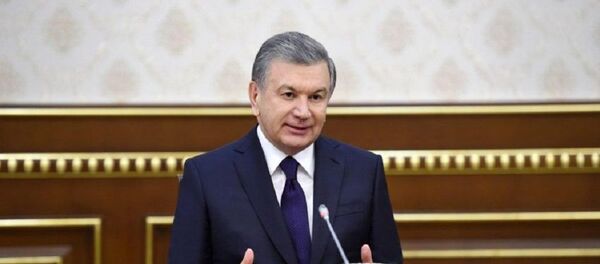 Мирзиеев побеседовал со Специальным представителем США Мирзиеев побеседовал со Специальным представителем США - Sputnik Узбекистан