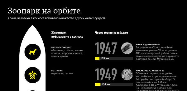 Зоопарк на орбите - Sputnik Узбекистан