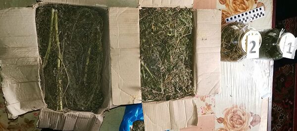 Почти 1,5 кг наркотиков выявили Ферганские таможенники Почти 1,5 кг наркотиков выявили Ферганские таможенники - Sputnik Узбекистан