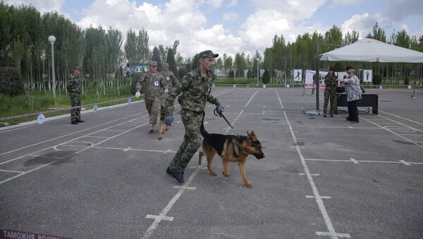 Национальная межведомственная выставка Служебная собака-2019 - Sputnik Узбекистан