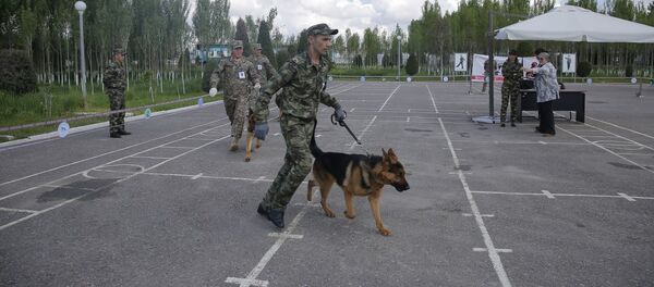 Национальная межведомственная выставка Служебная собака-2019 - Sputnik Узбекистан