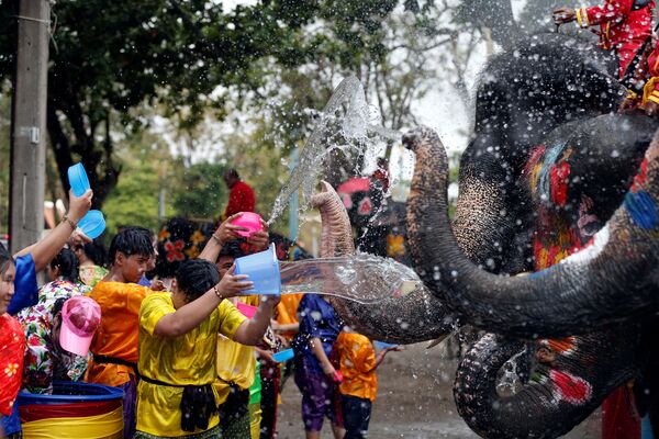 Люди и слоны обливаются водой во время празднования тайского Нового года - Sputnik Узбекистан