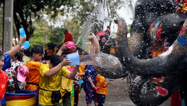 Люди и слоны обливаются водой во время празднования тайского Нового года - Sputnik Узбекистан
