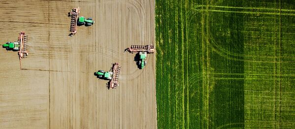 Посев подсолнечника в поселке Двубратском - Sputnik Ўзбекистон