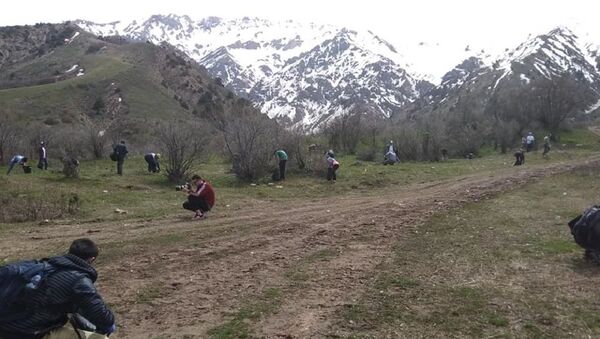 Мы за чистые горы: в Чимгане прошел субботник - Sputnik Узбекистан