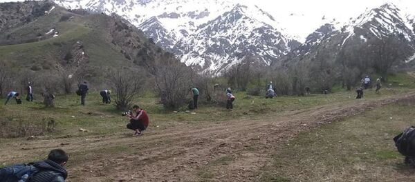 Мы за чистые горы: в Чимгане прошел субботник Мы за чистые горы: в Чимгане прошел субботник - Sputnik Узбекистан