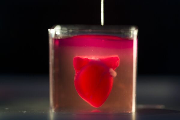 В мире впервые напечатали живое сердце на 3D-принтере - Sputnik Ўзбекистон