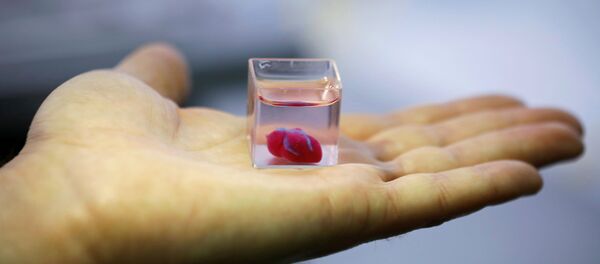 В мире впервые напечатали живое сердце на 3D-принтере В мире впервые напечатали живое сердце на 3D-принтере - Sputnik Узбекистан