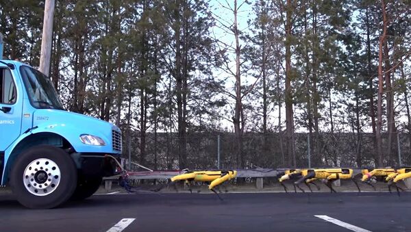 Робособаки, похожие на дроидов, буксируют грузовик - видео - Sputnik Узбекистан