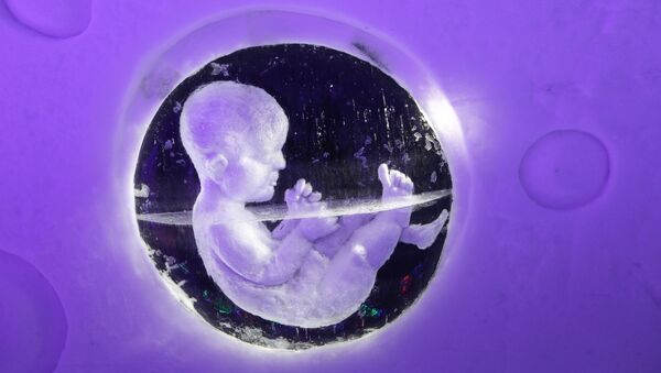 Эмбрион, архивное фото - Sputnik Узбекистан