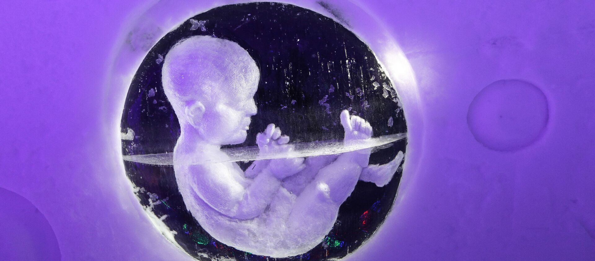 Эмбрион, архивное фото - Sputnik Узбекистан, 1920, 19.04.2019
