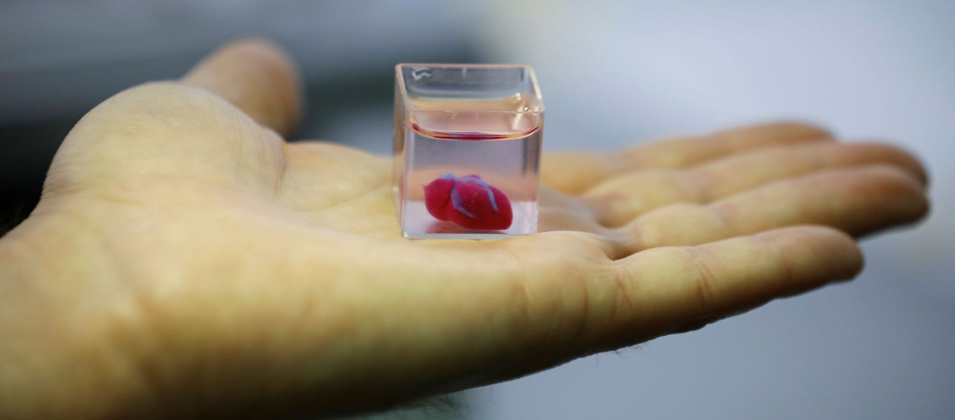 Первое в мире живое сердце, напечатанное на 3D-принтере во время демонстрации в лаборатории, Тель-Авив, Израиль - Sputnik Узбекистан, 1920, 19.04.2019