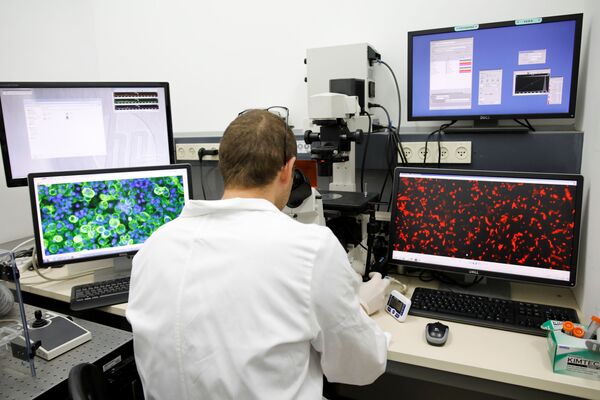 Лаборант смотрит в микроскоп во время демонстрации первого в мире живого сердца, напечатанного на 3D-принтере, Тель-Авив, Израиль - Sputnik Узбекистан