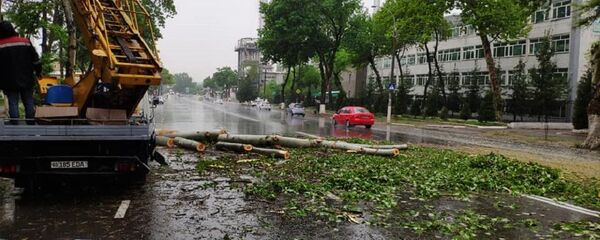 Ураган в Ташкенте - Sputnik Узбекистан