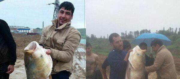 Mujchina derjit ribu, poymannuyu na Tashmore Mujchina derjit ribu, poymannuyu na Tashmore - Sputnik O‘zbekiston