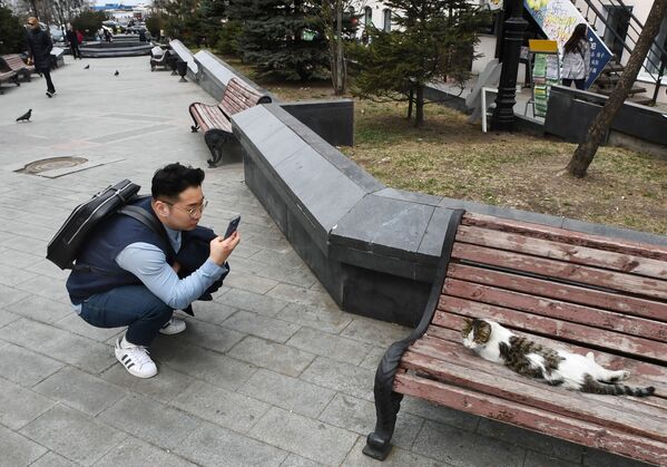Турист фотографирует кошку на улице Адмирала Фокина во Владивостоке - Sputnik Узбекистан