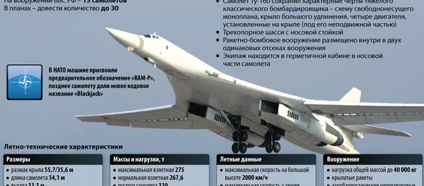 Сверхзвуковой стратегический ракетоносец Ту-160 - Sputnik Узбекистан