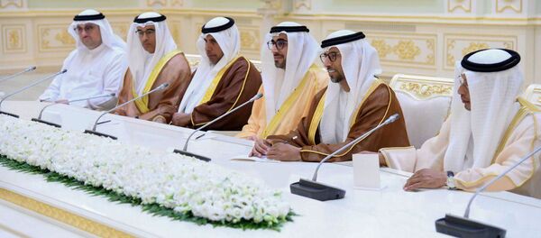 Делегация из ОАЭ во время переговоров с президентом Узбекистана Шавкатом Мирзиёевым - Sputnik Узбекистан