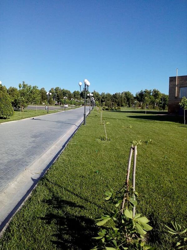 Самаркандцы возмущены: вандалы сломали все деревья в парке - Sputnik Узбекистан