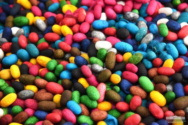 Шелк и медицина: Мирзиёев посетил предприятия в Фергане - Sputnik Узбекистан