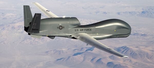 Американский стратегический разведывательный БПЛА RQ-4 Global Hawk Американский стратегический разведывательный БПЛА RQ-4 Global Hawk - Sputnik Ўзбекистон