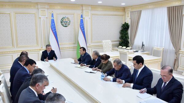Слишком медленно: президент раскритиковал ход реализации инвестпроектов - Sputnik Узбекистан