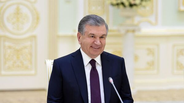 Мирзиёев принял делегацию из США во главе с губернатором штата. - Sputnik Узбекистан