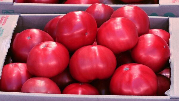 Sobranniy urojay pomidorov  - Sputnik O‘zbekiston