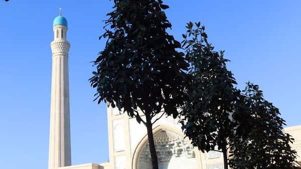 мечеть Шейха Мухаммада Садыка Мухаммада Юсуфа с сада - Sputnik Ўзбекистон
