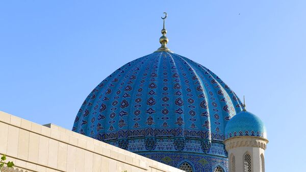 Один из куполов мечети Шейха Мухаммада Садыка Мухаммада Юсуфа - Sputnik Узбекистан