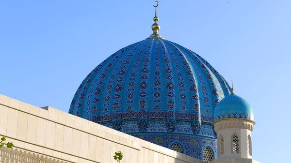 Один из куполов мечети Шейха Мухаммада Садыка Мухаммада Юсуфа - Sputnik Ўзбекистон