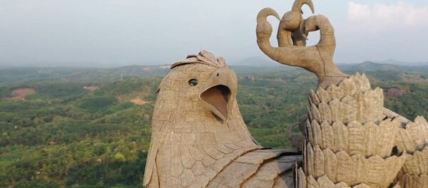 Дрон в Индии снял самую большую статую птицы на планете Дрон в Индии снял самую большую статую птицы на планете - Sputnik Ўзбекистон