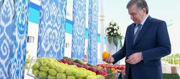 Шавкат Мирзиёев ознакомился с деятельностью хлопково-текстильного кластера, организованного обществом с ограниченной ответственностью Khantex Group Кургантепинского района. - Sputnik Ўзбекистон