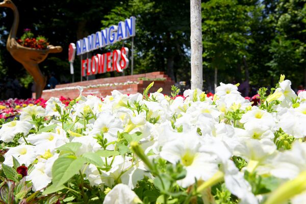 Парк-космос и парад цветущих тракторов: грандиозный фестиваль в Намангане - Sputnik Узбекистан