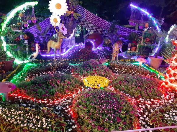 Затейливые цветочные композиции — настоящие произведения флористического искусства! - Sputnik Узбекистан