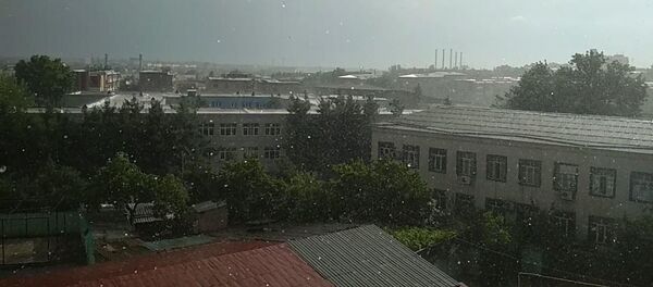 Слепой дождь прошел над знойным Ташкентом Слепой дождь прошел над знойным Ташкентом - Sputnik Ўзбекистон