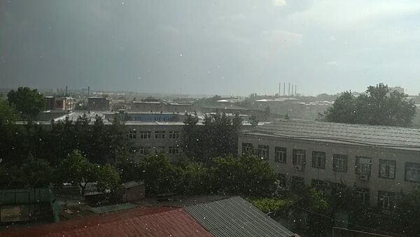 Слепой дождь прошел над знойным Ташкентом - Sputnik Узбекистан