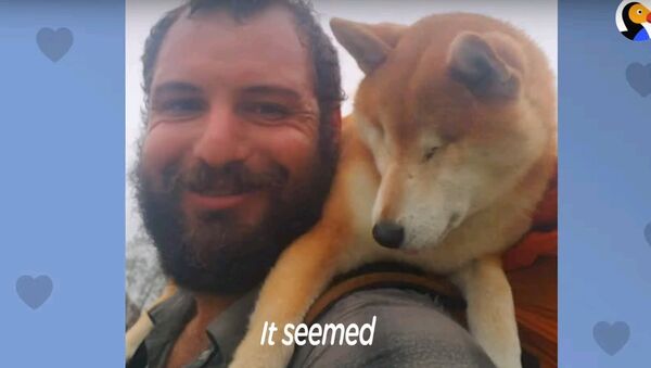 Хозяин путешествует пешком со своим слепым псом - видео растопит сердце - Sputnik Узбекистан