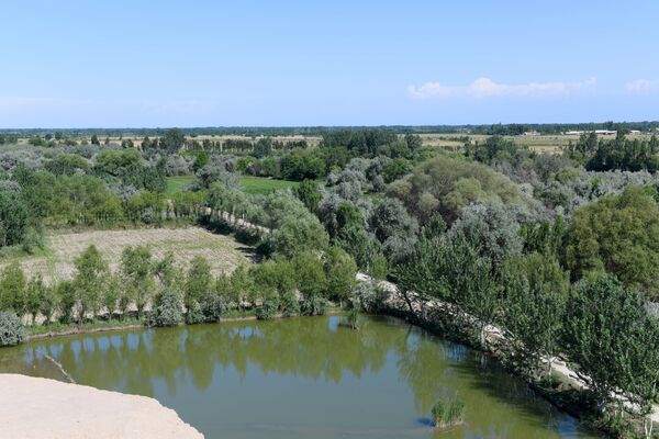 Вид на реку Сырдарью с крепостной стены цитадели Ахсикента - Sputnik Узбекистан