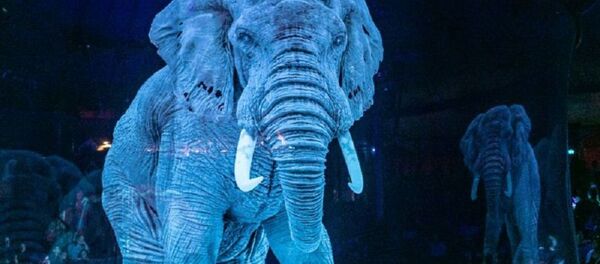 Circus Roncalli заменил животных на голограммы  - Sputnik Узбекистан