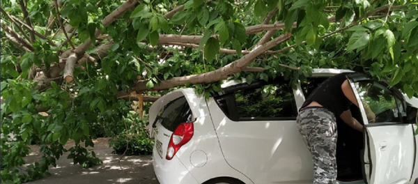 V Tashkente silneyshiy veter: voditeli boyatsya za svoi avto - foto - Sputnik O‘zbekiston