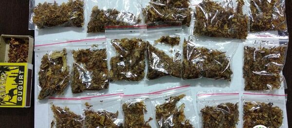 ГУВД Ташкента просит жителей сообщать о рекламе спайса в городе - Sputnik Узбекистан