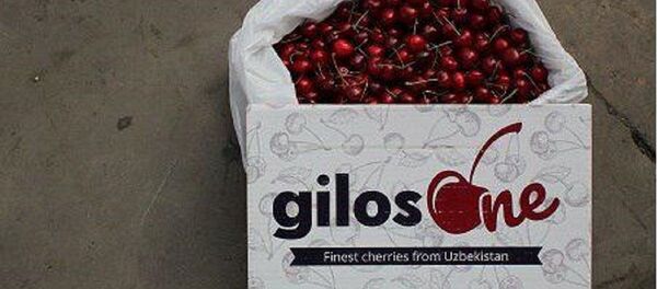 Узбекские черешни и виноград в Египте Узбекские черешни и виноград в Египте - Sputnik Ўзбекистон