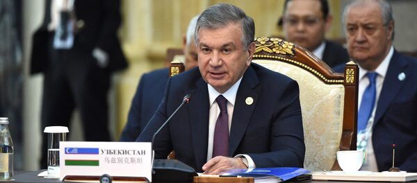 Выступление президента Узбекистана Шавката Мирзиёева на саммите ШОС в Бишкеке - Sputnik Узбекистан