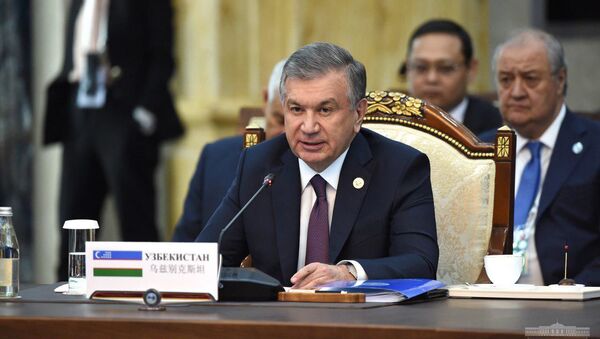 Выступление президента Узбекистана Шавката Мирзиёева на саммите ШОС в Бишкеке - Sputnik Узбекистан